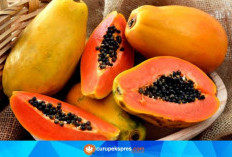 Sering Sakit, Bisa Jadi Kekurangan Vitamin D 