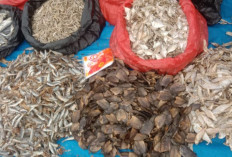 Tips Memilih Ikan Asin di Pasar