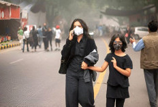 Polusi Udara Meningkat, Bagaimana Cara Melindungi Diri?
