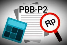   Segini Tunggakan PBB di Rejang Lebong, Infonya Tembus Rp1,2 Miliar