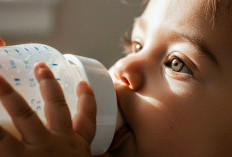  Anak Susah Makan karena Kebanyakan Susu ? Ini Penjelasan Ahli