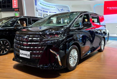 Toyota Alphard Hybrid XE Jadi Varian Paling Terjangkau di IIMS 2026
