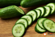 Ini Penyebab Orang yang Tidak Boleh Sering Makan Mentimun