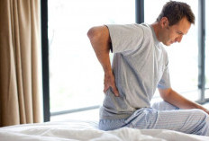  Bukan Cuma Faktor Usia, Gaya Hidup Ini Picu Nyeri Punggung Bawah