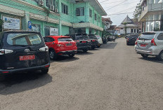  1.199 Randis Tunggak Pajak di Rejang Lebong, Ini Kata BPKD 