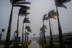    Angin Kencang Diprediksi Melanda, Simak Tips Keselamatan yang Harus Dilakukan