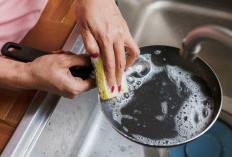 Terungkap! Ini Dampak Peralatan Dapur terhadap Kandungan Gizi Makanan