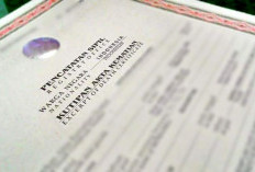  Sekilas Terlihat Sama, Ini Perbedaan Akta Kematian dan Surat Keterangan Lahir Mati