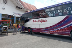  PO Baru Mulai Beroperasi di Terminal Simpang Nangka, Perkuat Layanan Mudik Lebaran 2026
