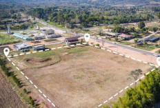 Masih Bingung Urus Pajak Tanah? Simak Perbedaan ATR/BPN, Bapenda, dan KPP di Sini!