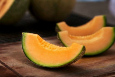  7 Makanan Pereda Asam Lambung yang Aman, Murah, dan Mudah Ditemukan di Sekitar Kita