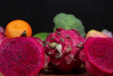 Khasiat Buah Naga untuk Kesehatan Bayi yang Jarang Diketahui