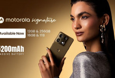 Motorola Rilis HP Terbaru 2026, Signature dan Edge 70 Fusion Siap Jadi Primadona Baru