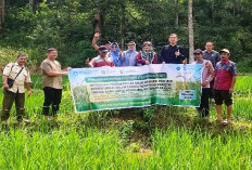 UNIB Mengenalkan Produktivitas Padi Bersertifikat, Hasil Penelitian Dosen Fakultas Pertanian 