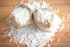  Ternyata Ini Bedanya Antara BeFood dan SPHP