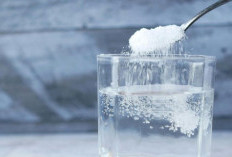  Benarkah Air Garam Hangat Bisa Detoks Tubuh? Ini Fakta Medisnya