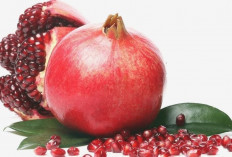 Khasiat Buah Delima untuk Kesehatan Tubuh Ibu Hamil