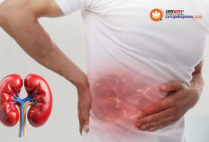  Tips Merawat Ginjal untuk Cegah Penyakit  