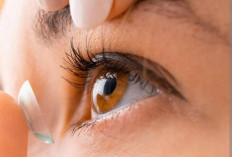 Pentingnya Kegunaan Solflen Bagi Kesehatan