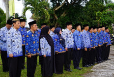 Nasib 50 PPPK Tahap I dan II di Rejang Lebong Masih Menggantung, Pemkab Lakukan Ini