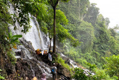  Air Terjun Puspa Dewi di Rejang Lebong, Wisata Unik dengan Dua Suhu Air Berbeda