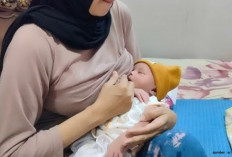  Bahan Alami untuk Asi Booster yang Harus Kamu ketahui