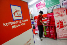 Gaji Menarik dan Peran Besar, Ini Fakta Rekrutmen Manajer Koperasi Desa 2026