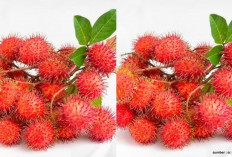 Manfaat Buah Rambutan untuk Anak - Anak yang Harus Kamu Ketahui