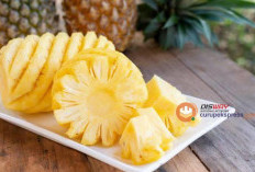 Fakta Buah Nanas Bisa jadi Pembersih Paru-Paru