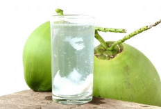 Air Kelapa Disimpan di Kulkas Tahan Berapa Lama? Simak Cara Menjaga Kesegarannya
