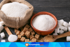 Ini Dampak Negatif Oatmeal Jika Dikonsumsi Setiap Hari !