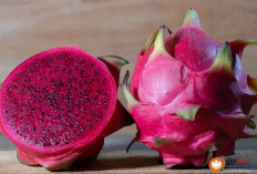  Buah Naga untuk Ibu Hamil yang Jarang Diketahui
