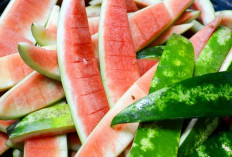 Kulit Semangka Jadi Camilan ? Ini 5 Ide Unik yang Wajib Dicoba