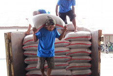 Bulog Rejang Lebong Siapkan 1.429 Ton Beras Jelang Ramadhan
