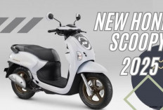 Tips Ampuh Merawat Motor Honda Scoopy agar Selalu Terasa Baru 