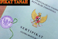 Jenis Sertipikat Tanah di Indonesia yang Wajib Kamu Ketahui