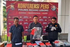  Dari Pengguna hingga Pengedar, 12 Pelaku Narkoba di Rejang Lebong Berhasil Diringkus