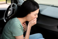 Mau Mudik Tanpa Mual? Hindari 4 Jenis Asupan Ini Sebelum Berangkat