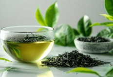  Pola Minum Berpengaruh, Ini 7 Minuman yang Baik untuk Kesehatan Area Kewanitaan