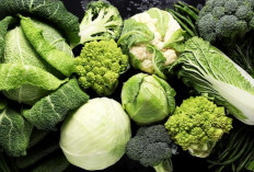  Cegah Kanker Payudara Sejak Dini dengan Pola Makan Sehat