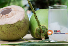 Air Kelapa Ternyata Tidak Lebih dari Menyegarkan Dahaga