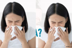  Tips Meredakan Batuk Pilek dengan Mudah