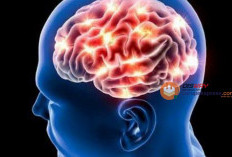 8 Senam Otak Ampuh untuk Mencegah Demensia Sejak Dini