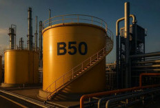 Biodiesel B50 Resmi Berlaku 1 Juli 2026, Ini Dampaknya bagi Energi dan Ekonomi Indonesia