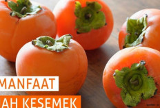 Manfaat Buah Kesemek bagi Kesehatan Tubuh Manusia
