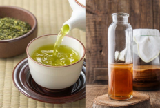 Sama-sama Sehat, Ini Perbedaan Teh Hijau dan Kombucha yang Jarang Diketahui