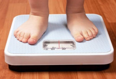 Rahasia Berat Badan Anak Ideal, Apakah Susu Tinggi Kalori Benar-Benar Diperlukan?