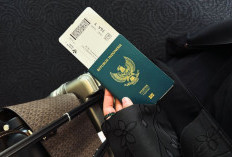  Biar Nggak Ribet, Ini Panduan Lengkap Urus Paspor dan Visa