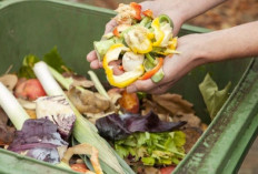 Tradisi atau Pemborosan? Menguak Fakta Food Waste saat Hari Raya