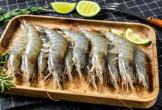  Kelihatannya Sepele, Bagian Udang Ini Ternyata Tidak Boleh Dimakan